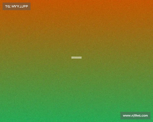 瑞士排球赛事官网